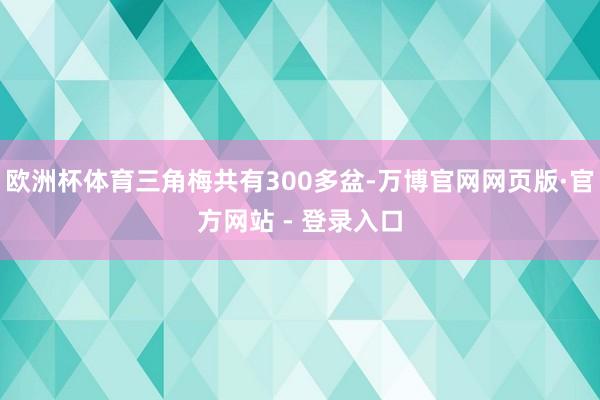 欧洲杯体育三角梅共有300多盆-万博官网网页版·官方网站 - 登录入口
