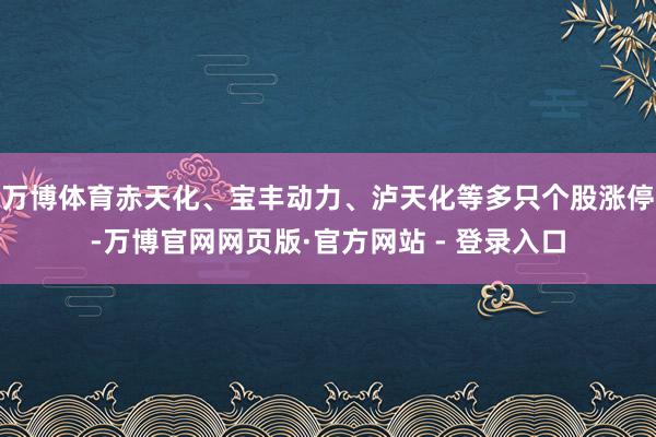 万博体育赤天化、宝丰动力、泸天化等多只个股涨停-万博官网网页版·官方网站 - 登录入口