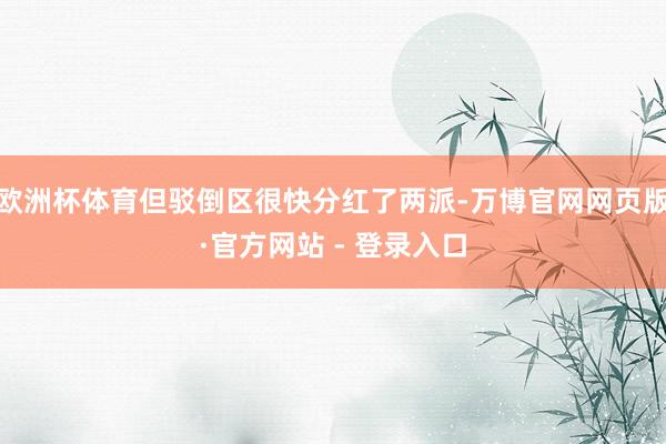 欧洲杯体育但驳倒区很快分红了两派-万博官网网页版·官方网站 - 登录入口
