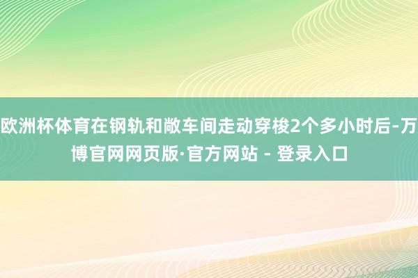 欧洲杯体育在钢轨和敞车间走动穿梭2个多小时后-万博官网网页版·官方网站 - 登录入口