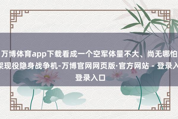 万博体育app下载看成一个空军体量不大、尚无哪怕1架现役隐身战争机-万博官网网页版·官方网站 - 登录入口