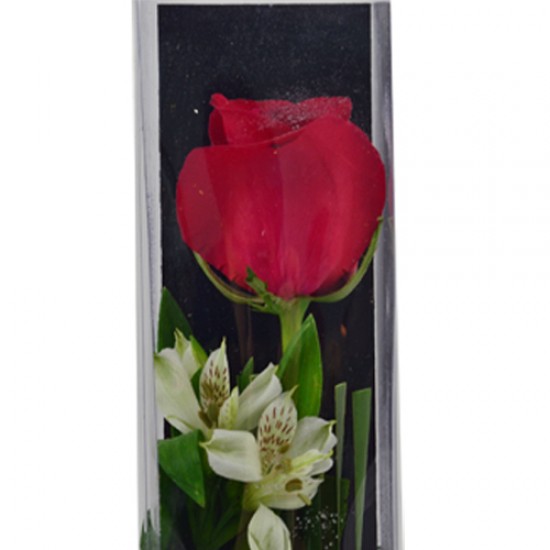 One Rose Box arrangement Valentines Day
