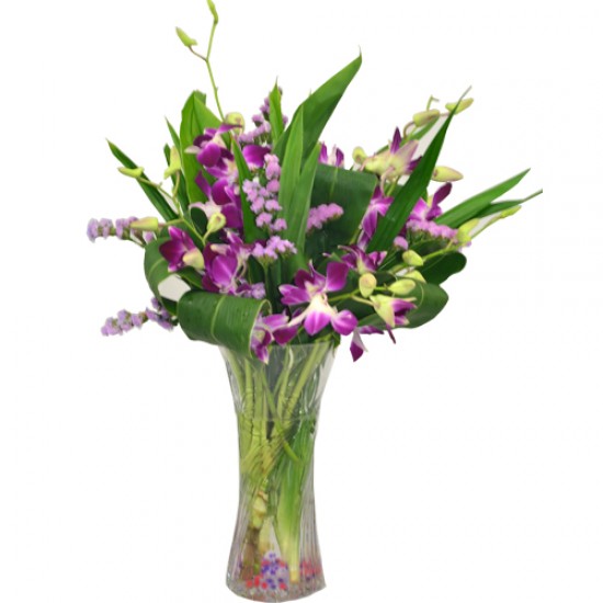 Orchids arrangement in Vase